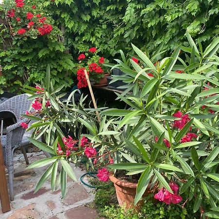 Golyashaz Apartman Kovagoors Экстерьер фото