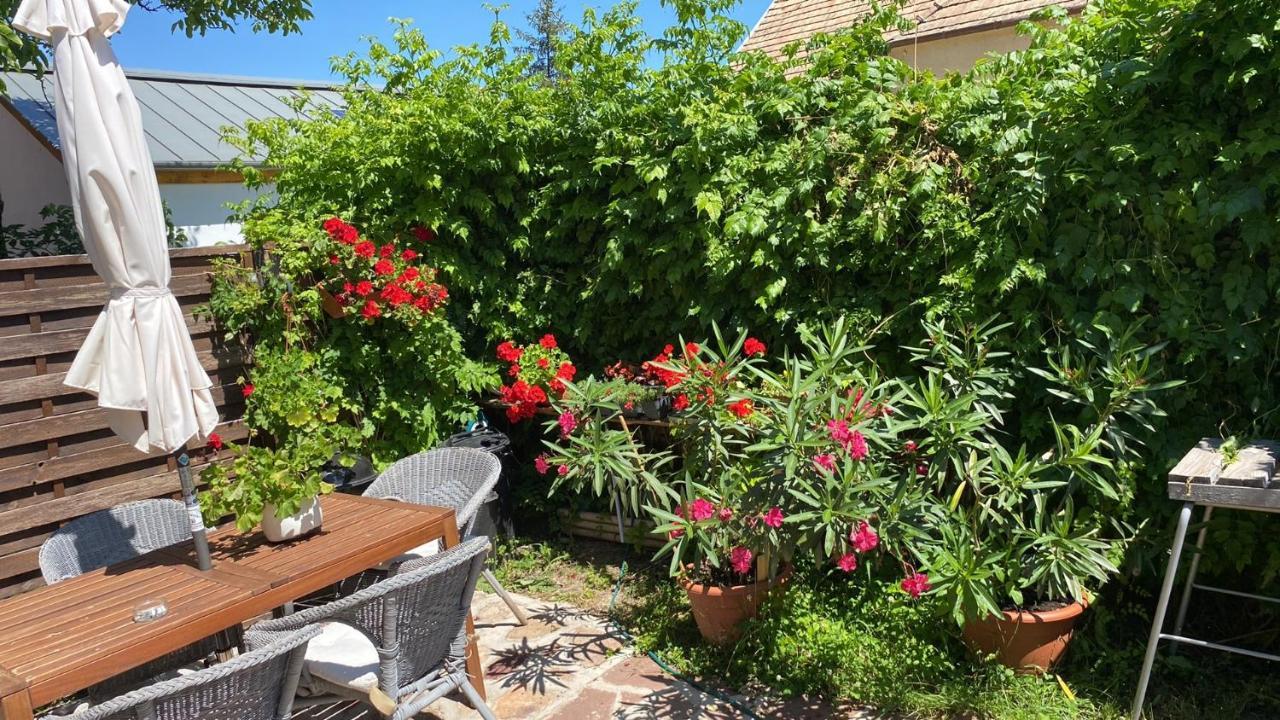 Golyashaz Apartman Kovagoors Экстерьер фото